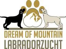 Labradorzucht Dream of Mountain Tirol Burgenland Logo